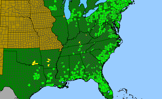 The range of Hypericum virginicum